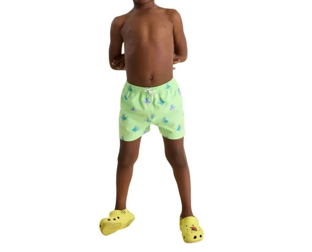 Chubbies Chubbies - Boy
s Seahorsin
 Arounds 2