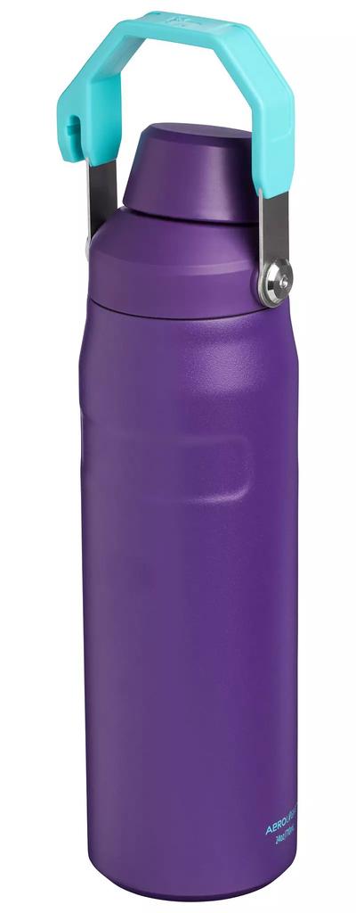 Stanley Stanley 24 oz. IceFlow Bottle with Fast Flow Lid
