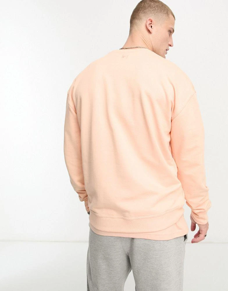 Fila Fila unisex Trev sweatshirt with seam detail in apricot 2