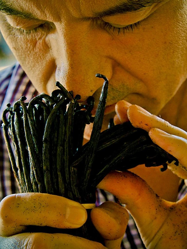 Guerlain Shalimar Perfume Extract 3