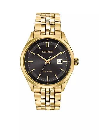 Citizen Eco Drive Paris Watch 1