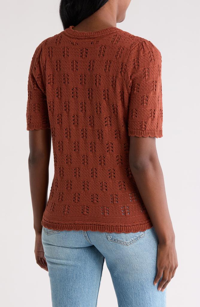 DR2 by Daniel Rainn Scalloped Short Sleeve Pointelle Knit Sweater