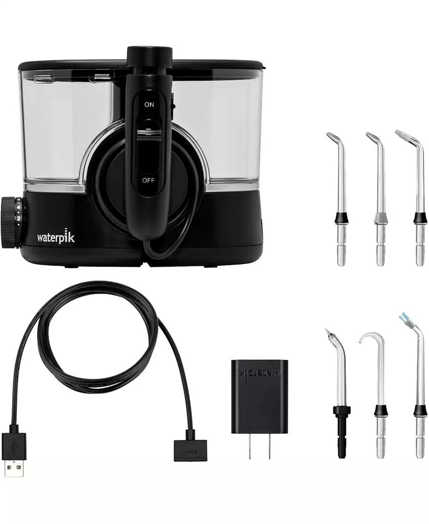 Waterpik Ion Water Flosser 2
