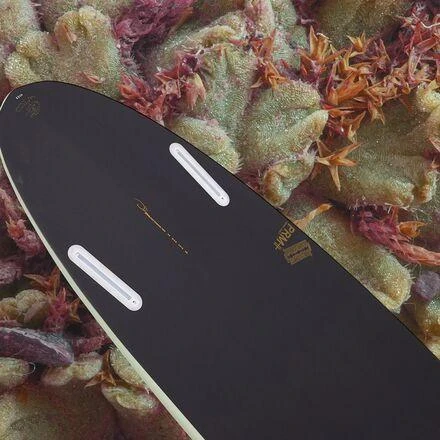 Misfit Speed Egg Twin Art Series Surfboard 6