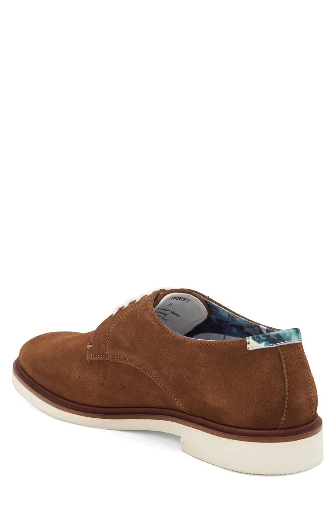 Paisley and Gray Casual Plain Toe Derby 2