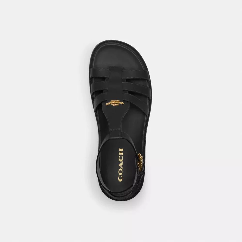 Coach Franny Sandal 3