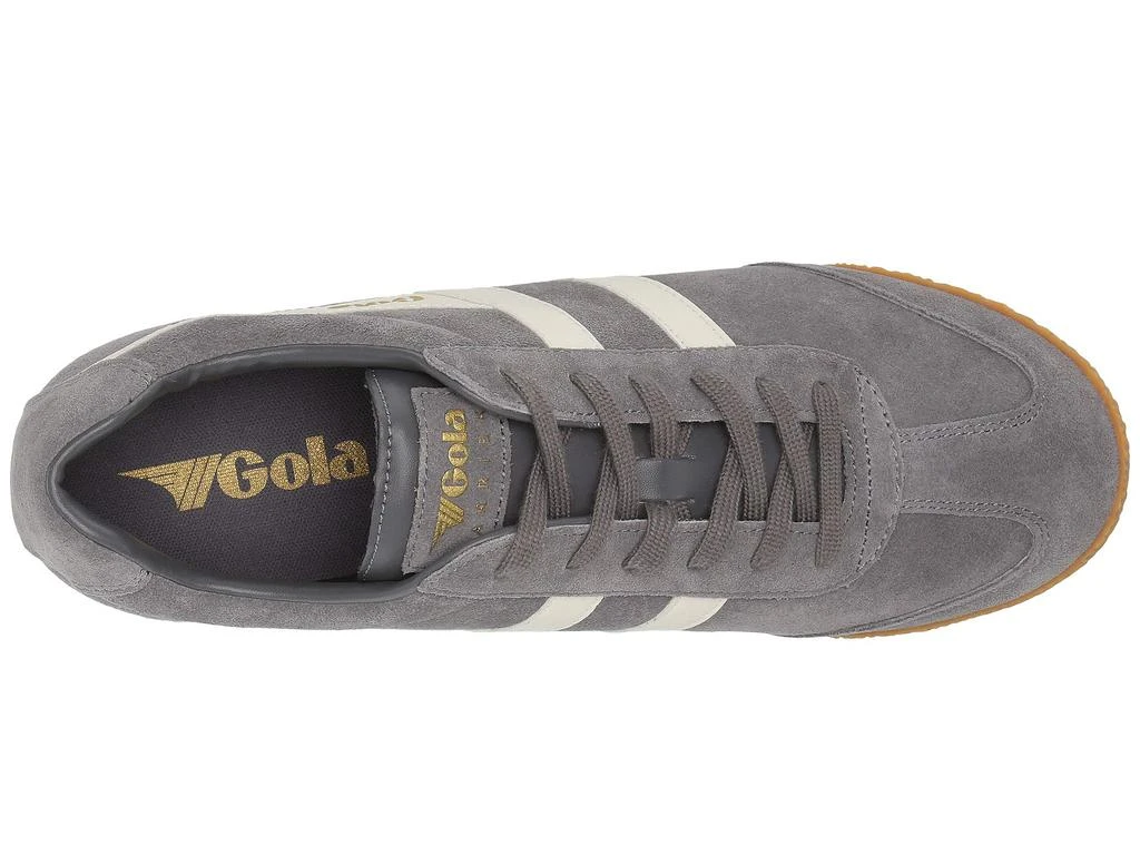 Gola Harrier 2