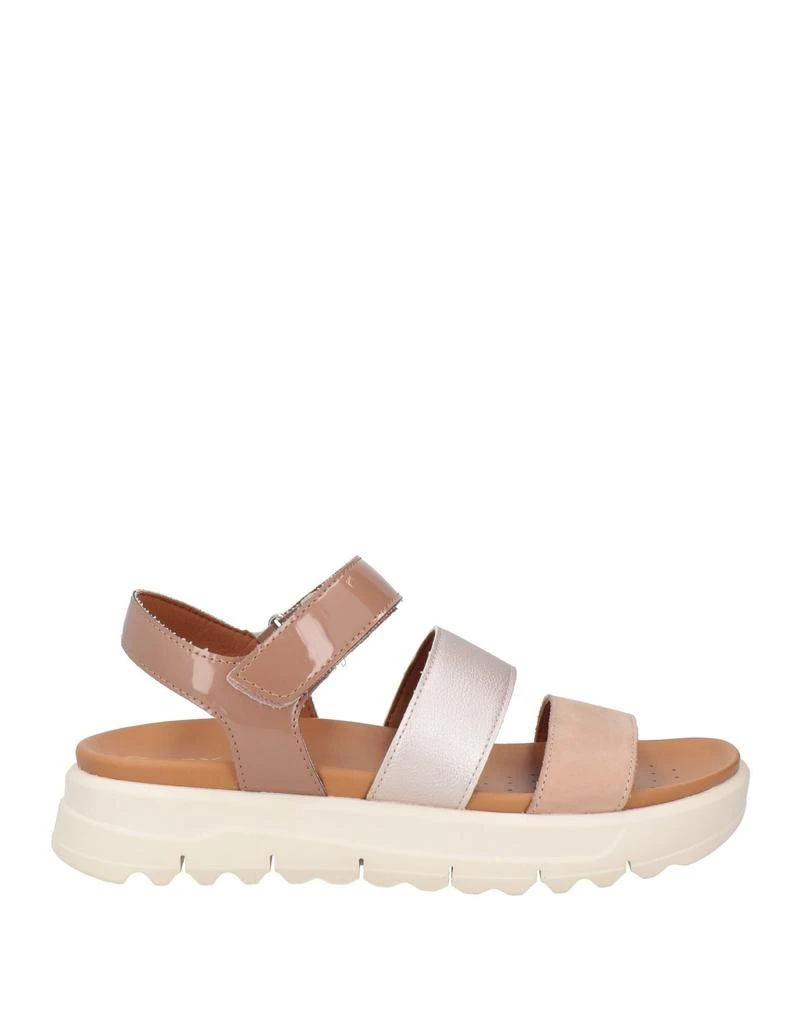 Geox Sandals 1