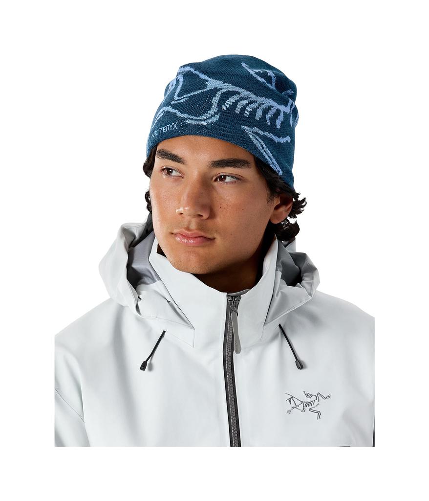 Arc'teryx Bird Head Toque