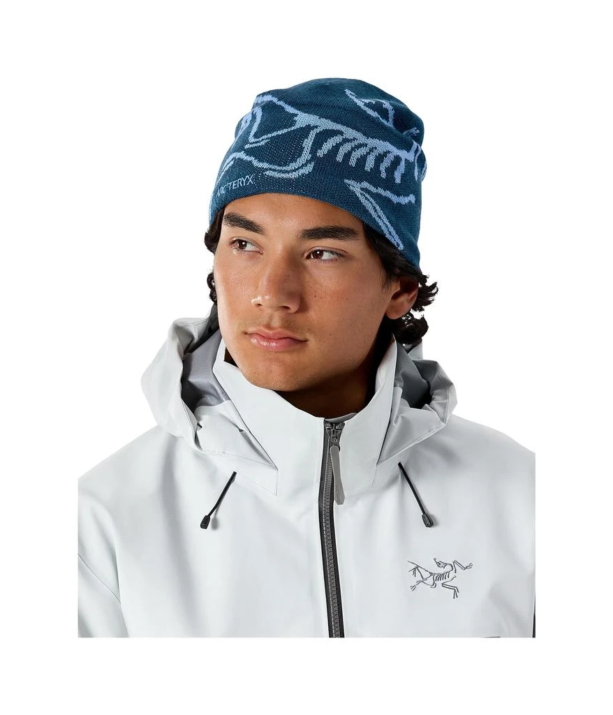 Arc'teryx Bird Head Toque 2