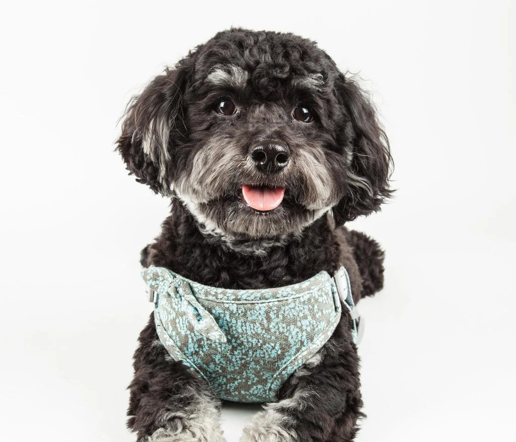 Pet Life Pet Life   'Fidomite' Mesh Reversed  and Adjustable Fashion Dog Harness W/ Designer Bowtie 3