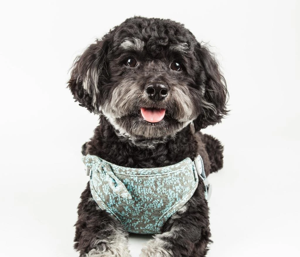 Pet Life 'Fidomite' Mesh Reversed  and Adjustable Fashion Dog Harness W/ Designer Bowtie 3