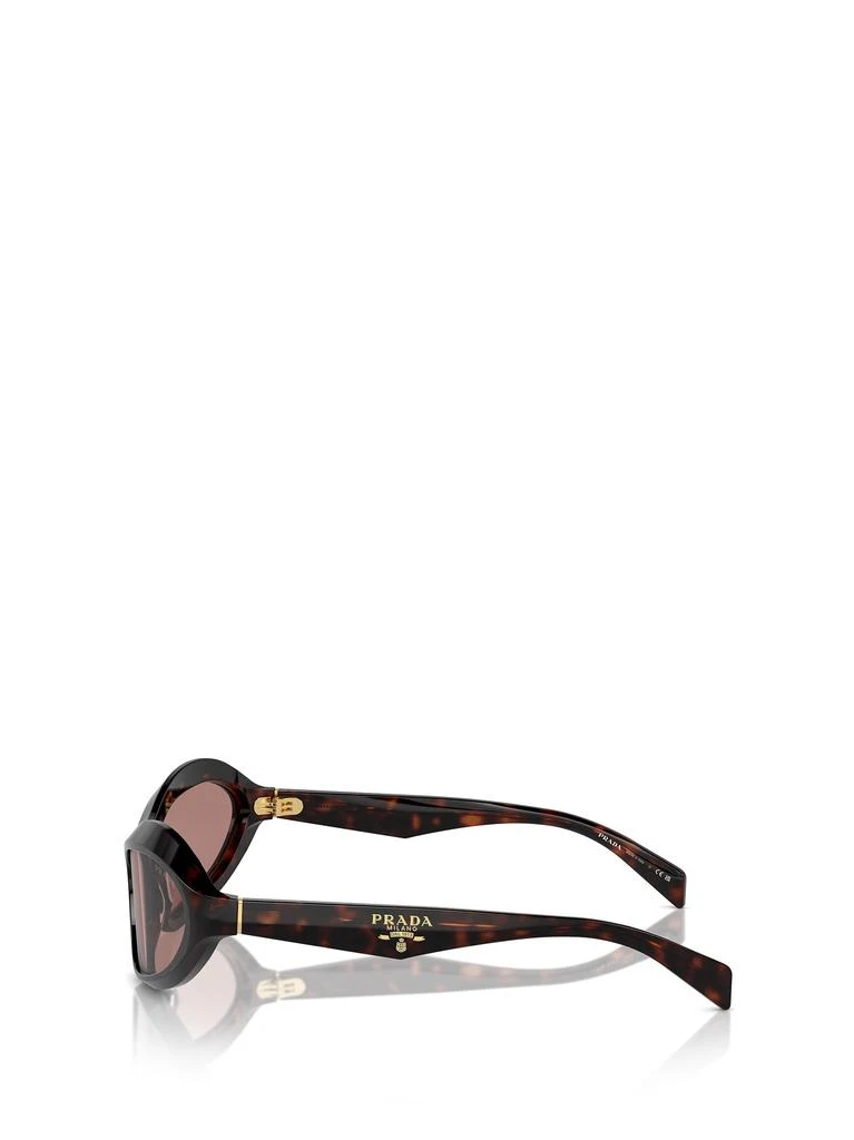 Prada Pr A20s Root Tortoise Sunglasses 3