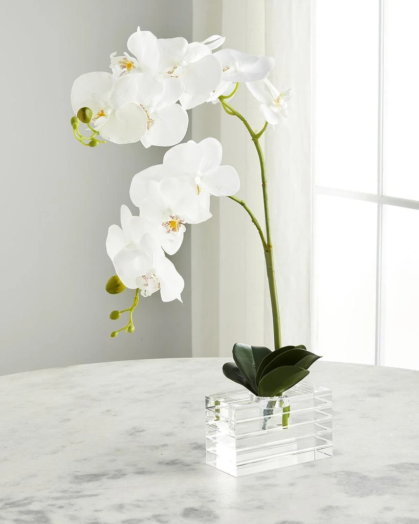 John Richard Crystal Clear Orchids Arrangement 1