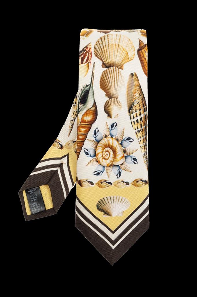 Dolce & Gabbana Dolce & Gabbana Shell Printed Tie