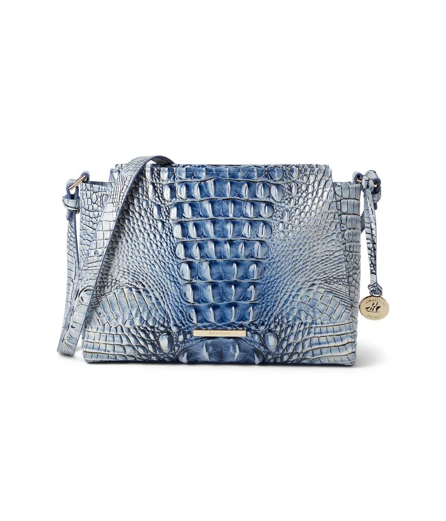 Brahmin Hillary 1