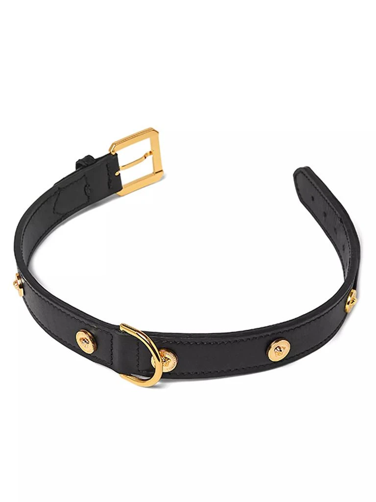 Versace Medusa Dog Collar 1