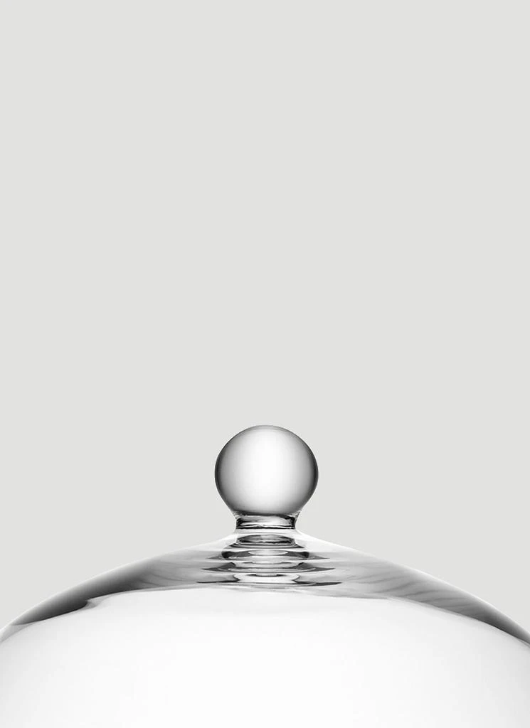 LSA International Vienna Plate and Dome 3