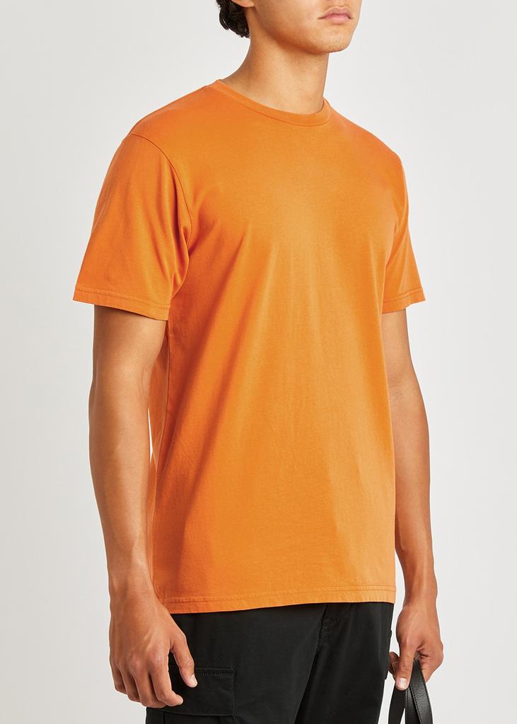 Colorful Standard Cotton T-shirt