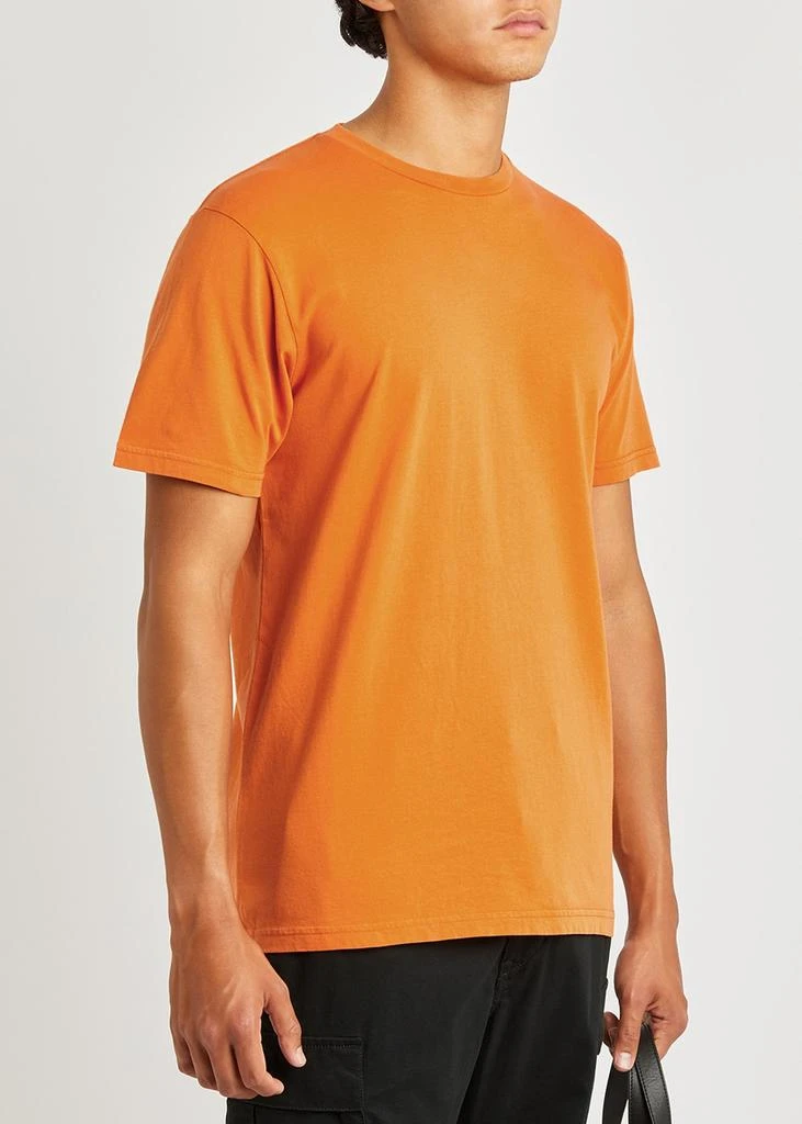 Colorful Standard Cotton T-shirt 2