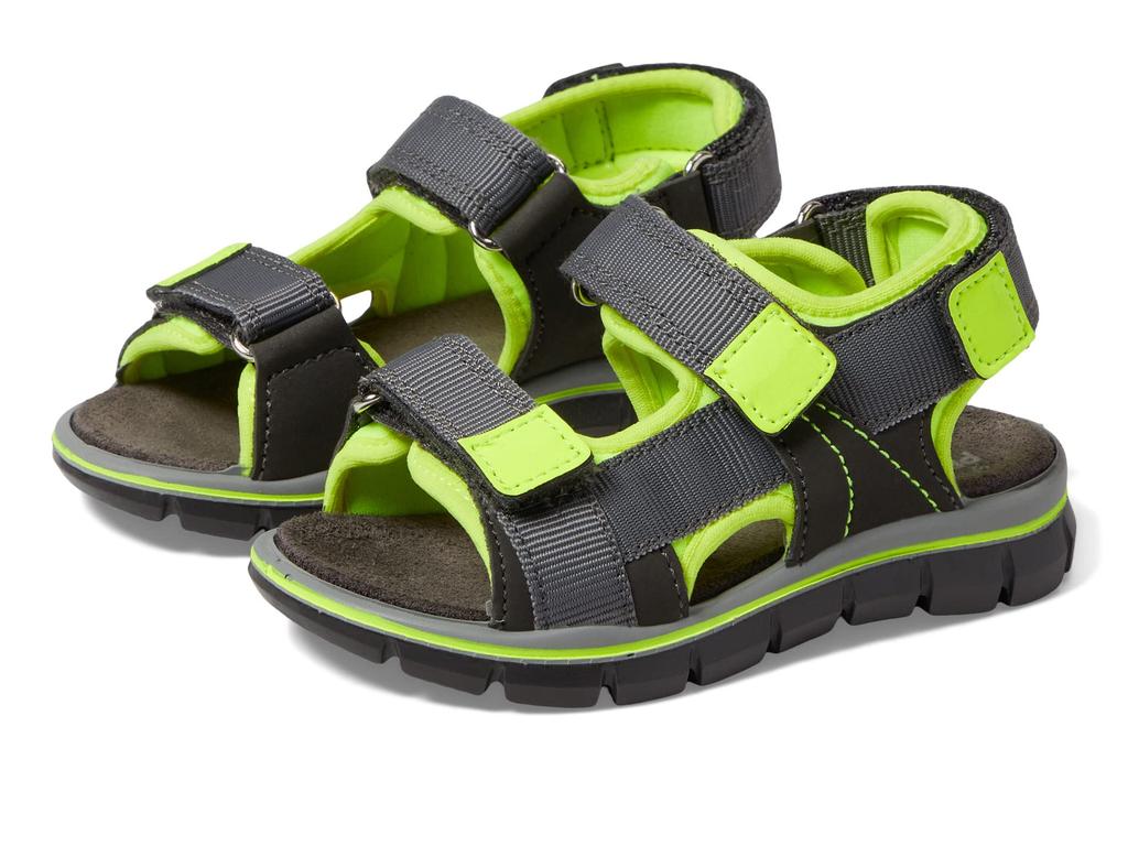 Primigi Kids 38962 (Toddler/Little Kid/Big Kid)