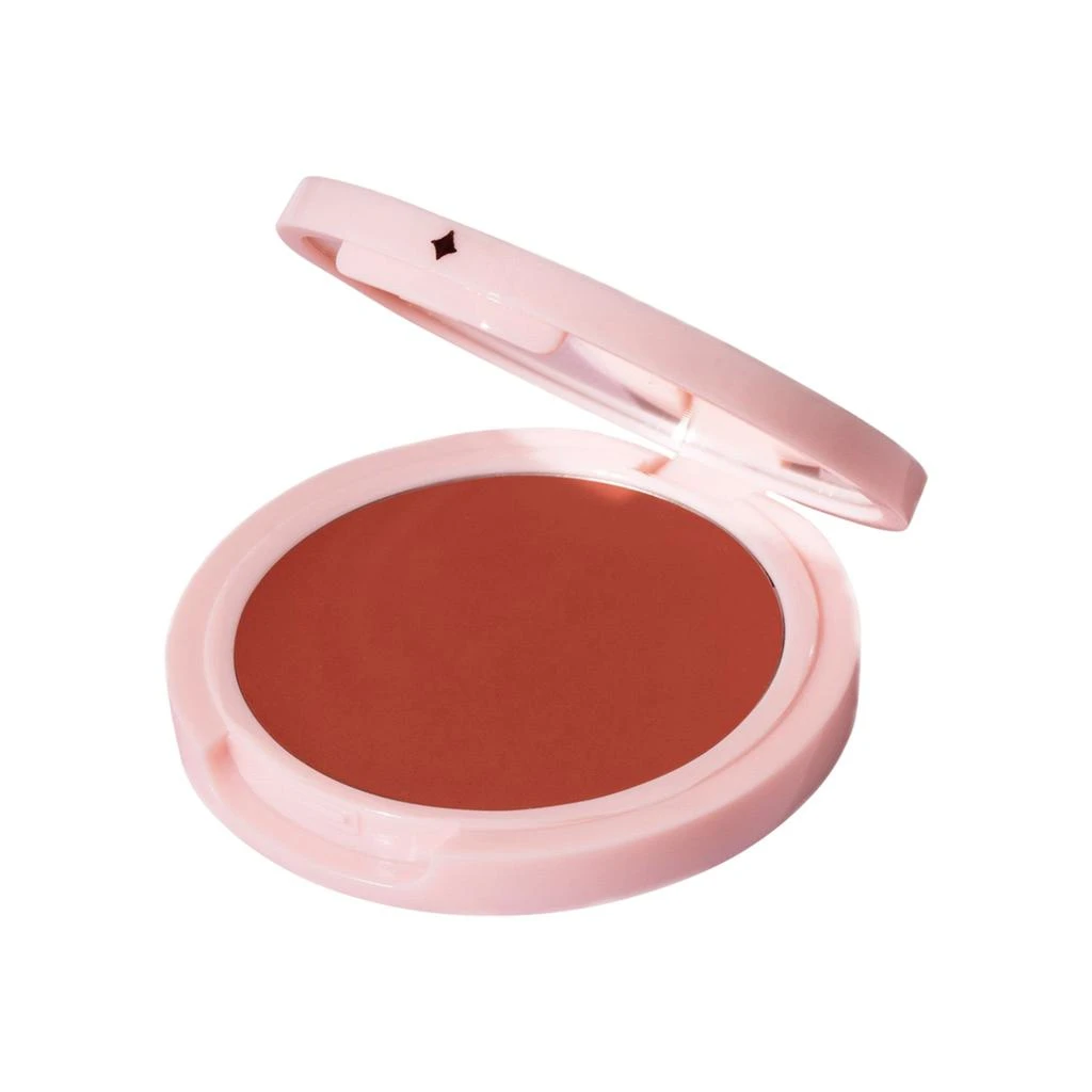 Jillian Dempsey Cheek Tint 3