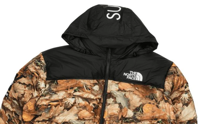 Supreme Supreme TNF Nuptse Jacket 3