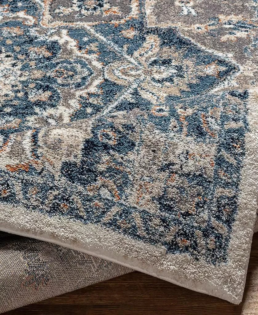 Surya Tuscany TUS-2334 6'7x9'6 Area Rug 3