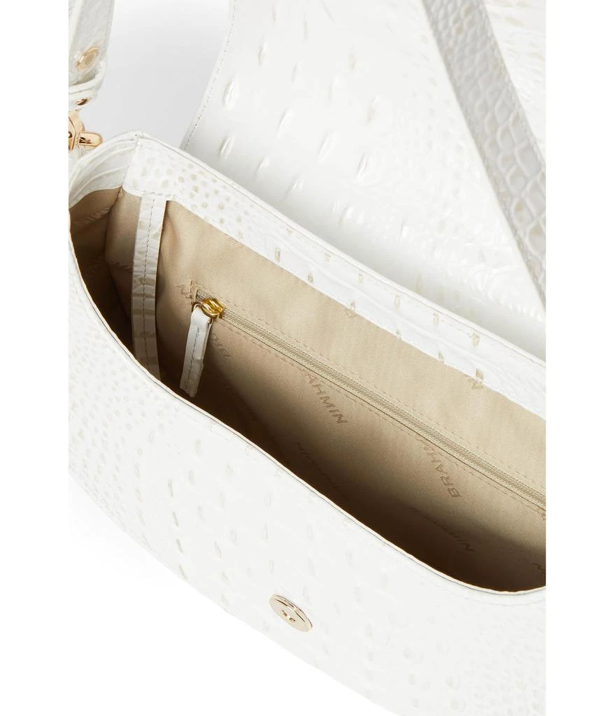 Brahmin Cynthia 3