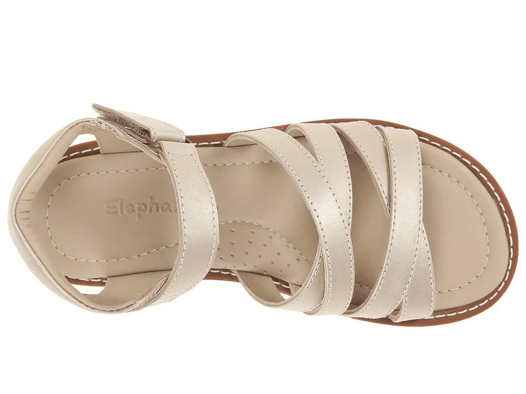 Elephantito 2C Sandal (Toddler/Little Kid) 2