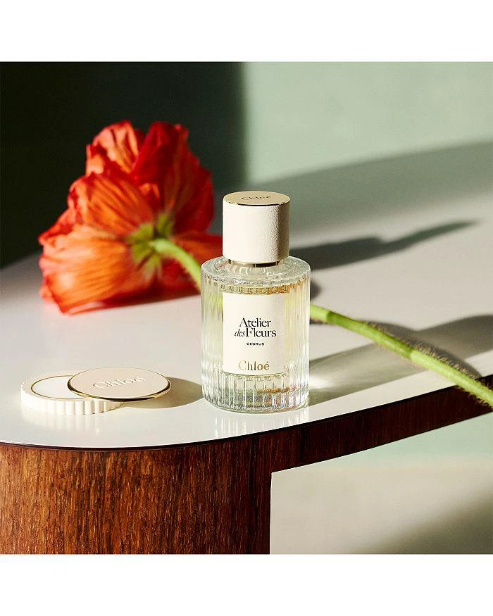 Chloé Atelier des Fleurs Santalum Solid Perfume 6