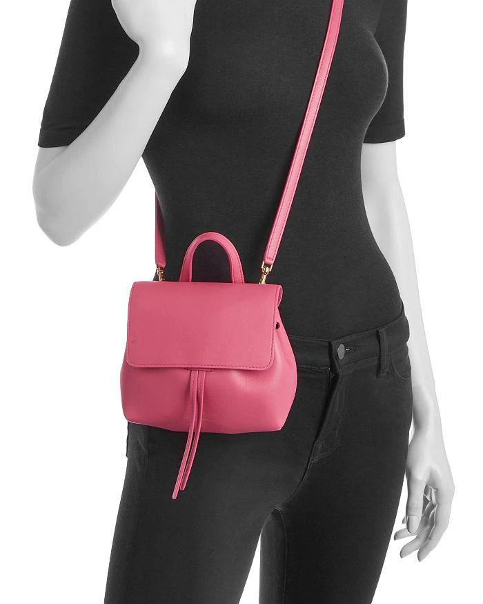 Mansur Gavriel Mini Soft Lady Bag 2