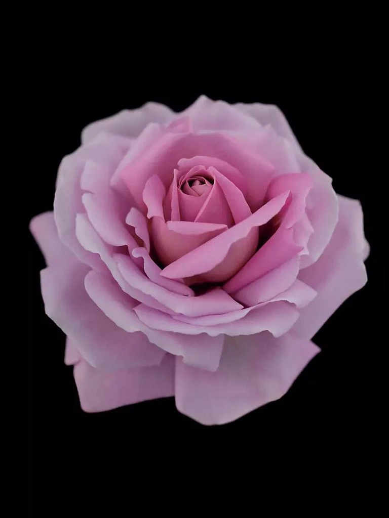 Cle de Peau Synactif Lotion 4