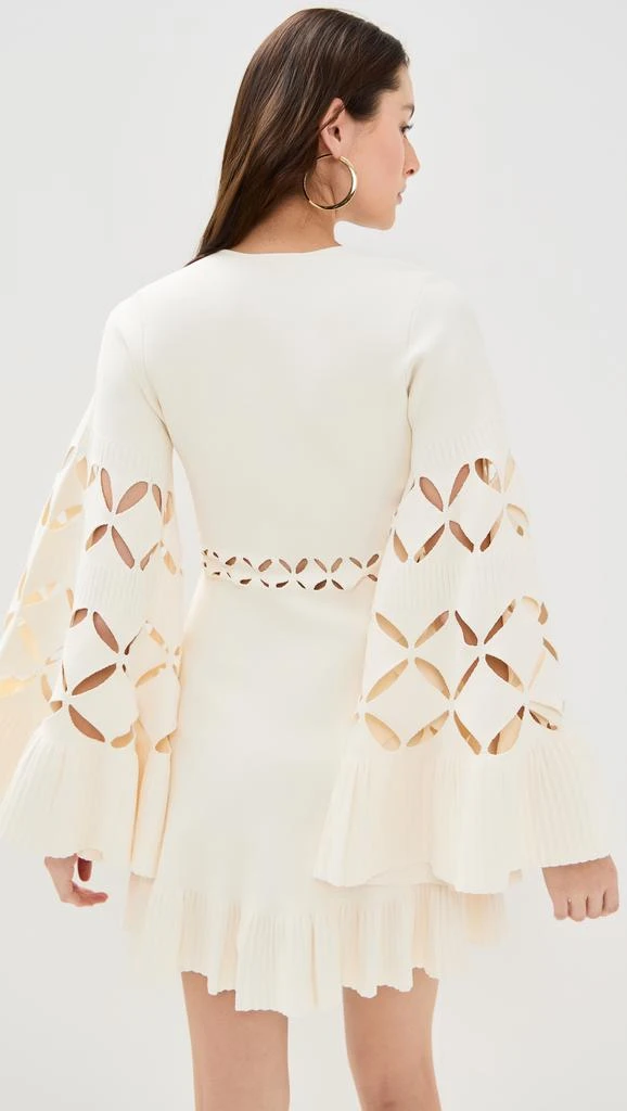 Alexis Linden Mini Dress 2
