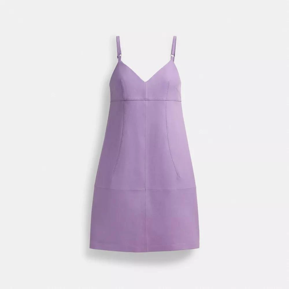Coach Short Leather Dress 1