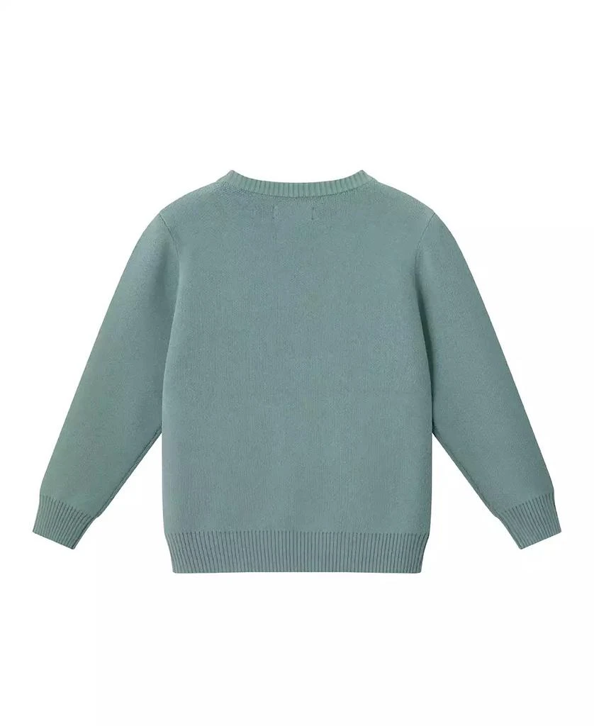 Andy 
Evan Toddler/Child Boys Happy Camper Sweater 2