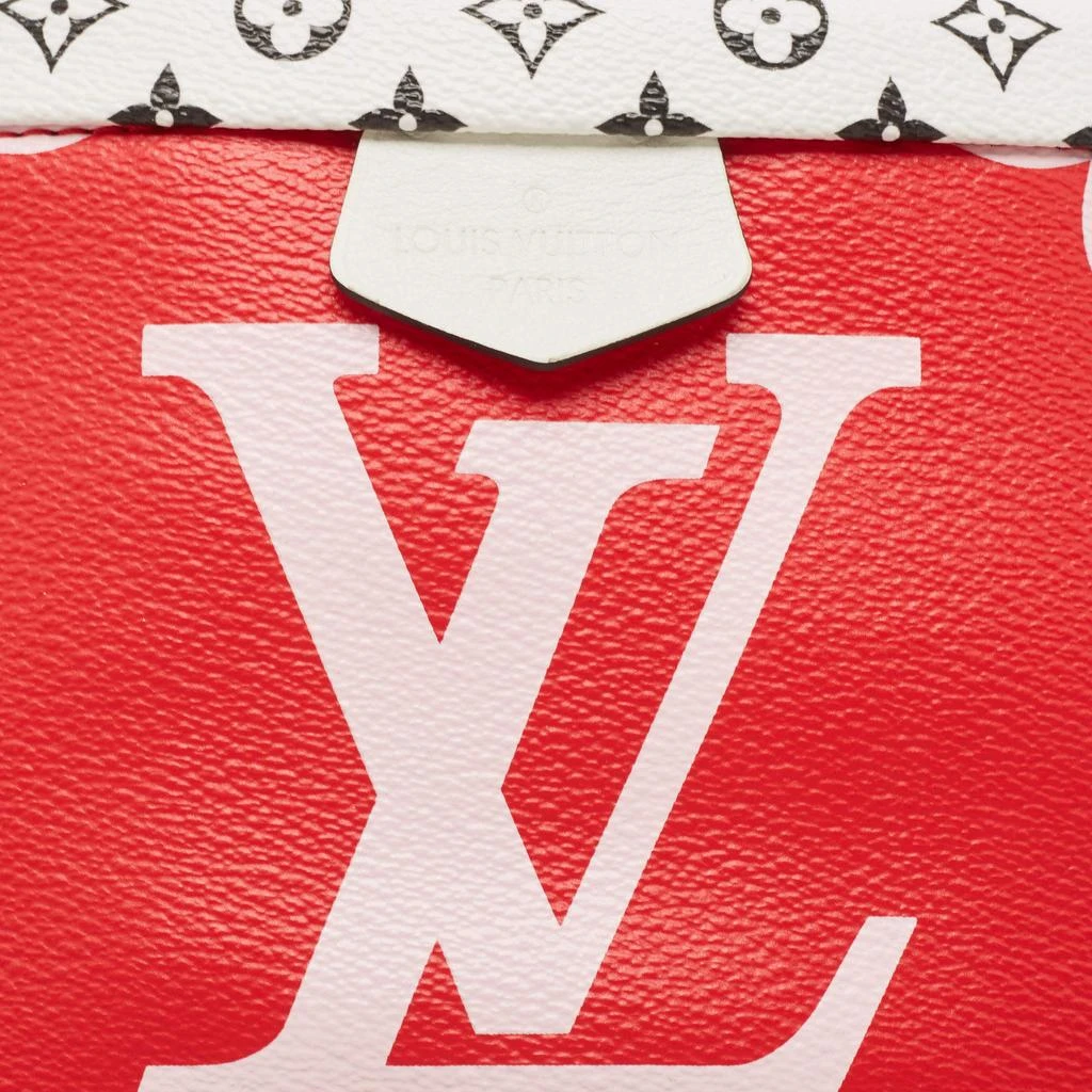 Louis Vuitton Louis Vuitton Multicolor Giant Monogram Canvas Bumbag 5