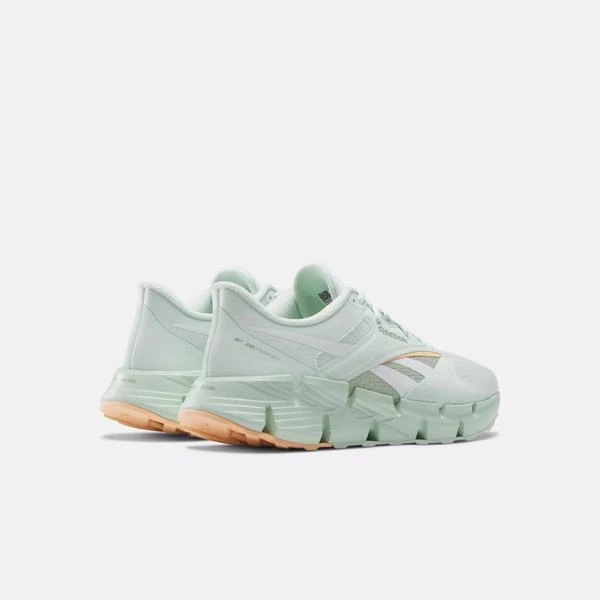 Reebok Zig Dynamica 5 Shoes 3