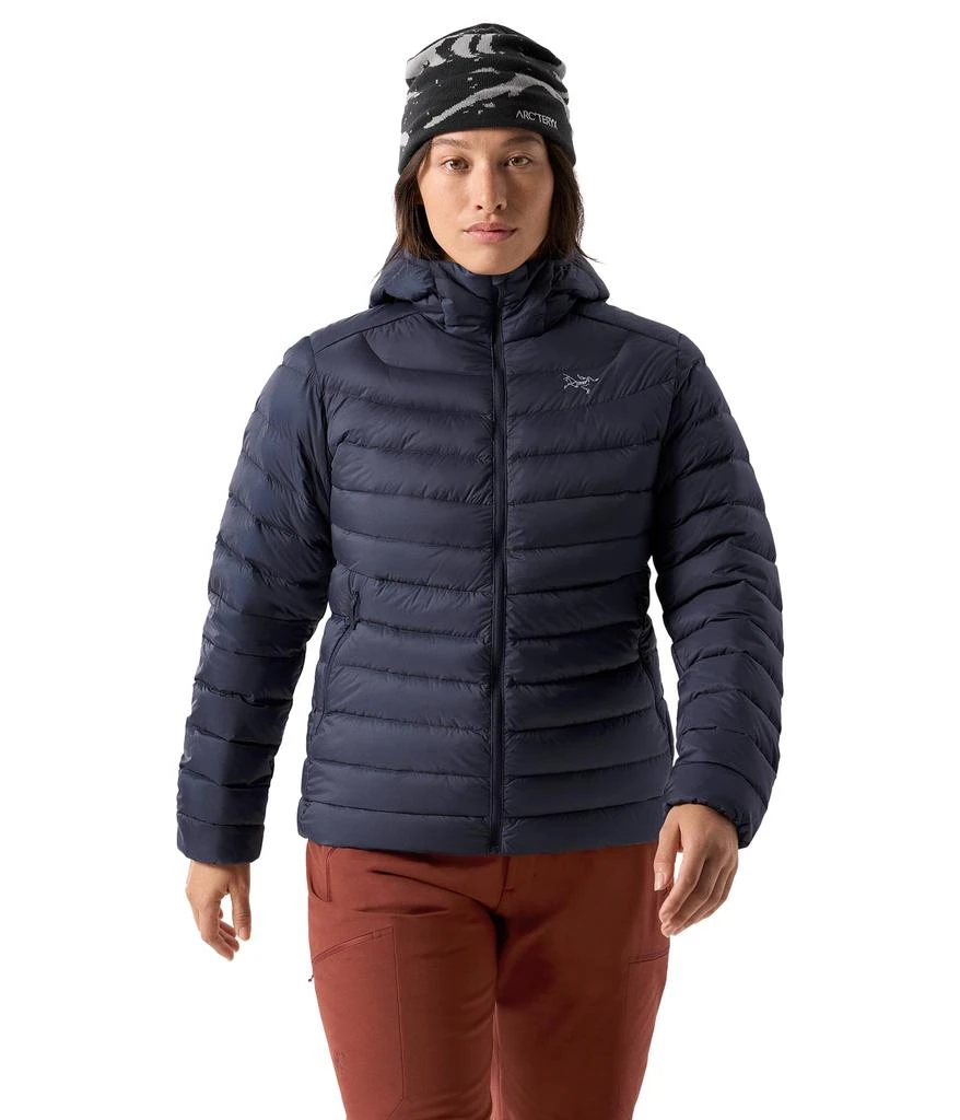 Arc'teryx Cerium Hoodie 1