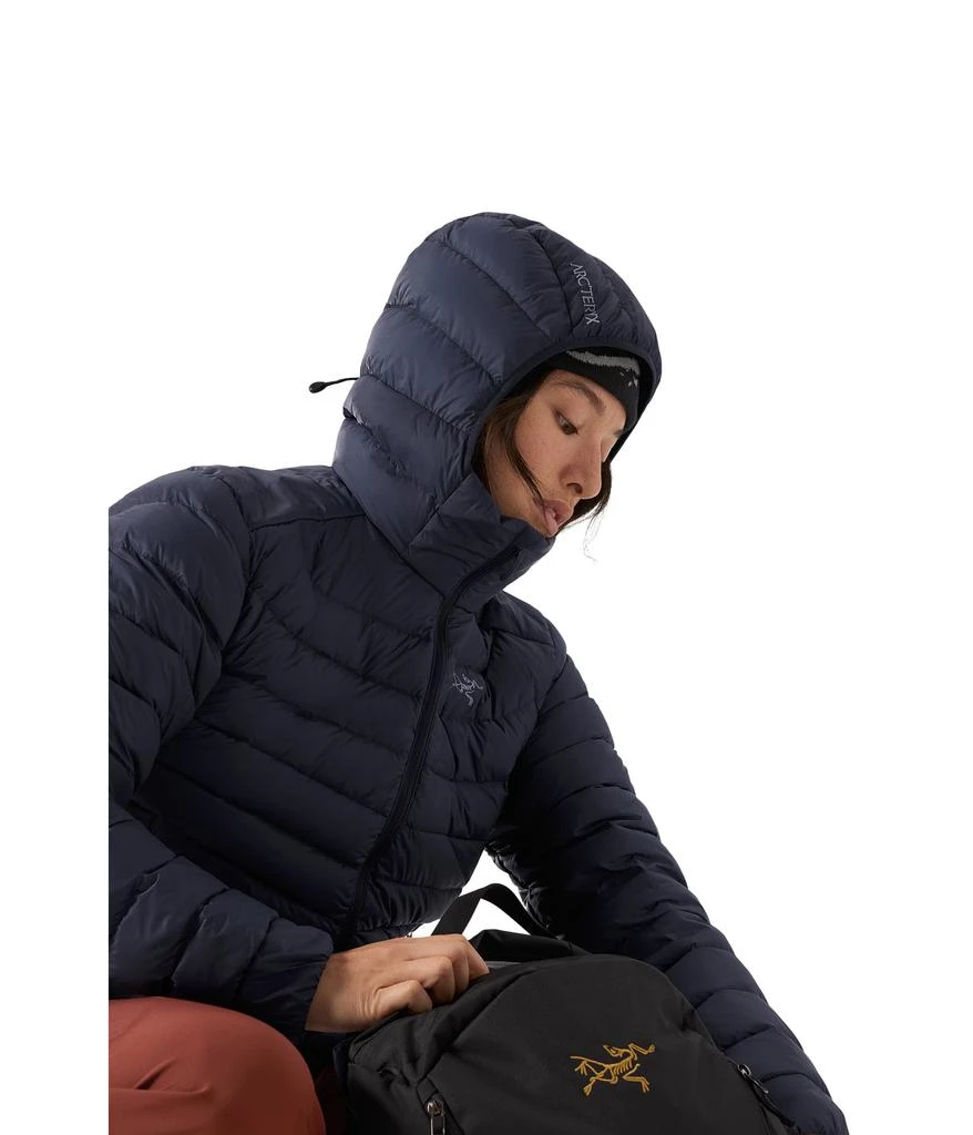 Arc'teryx Cerium Hoodie 4
