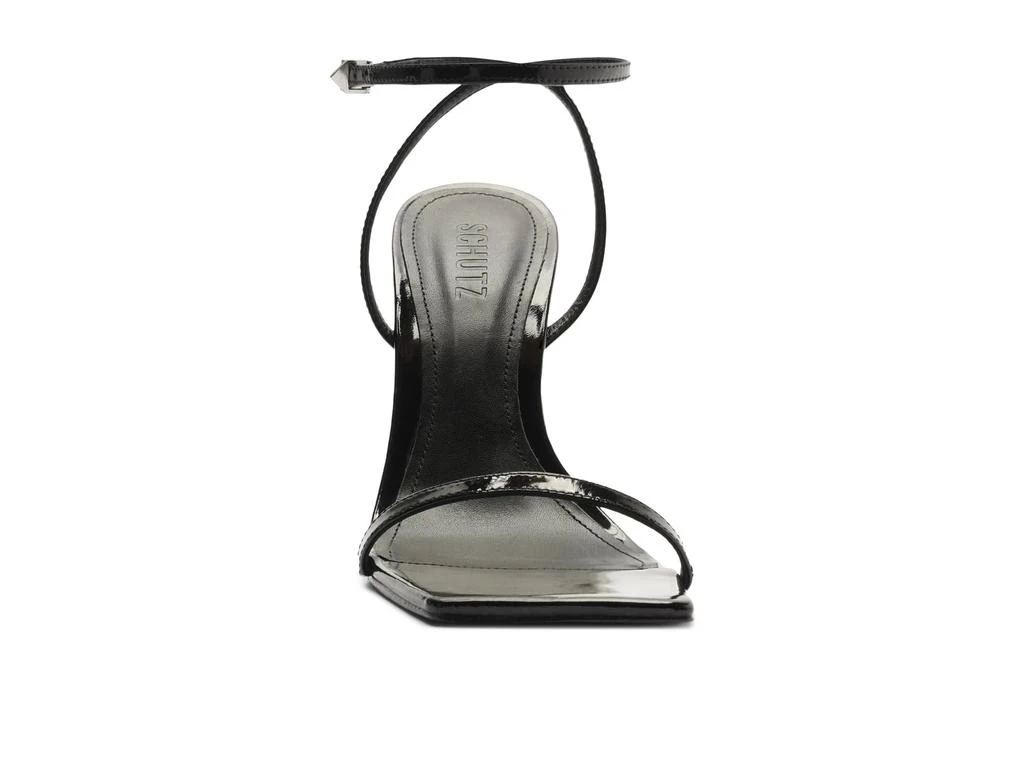Schutz Siena 2