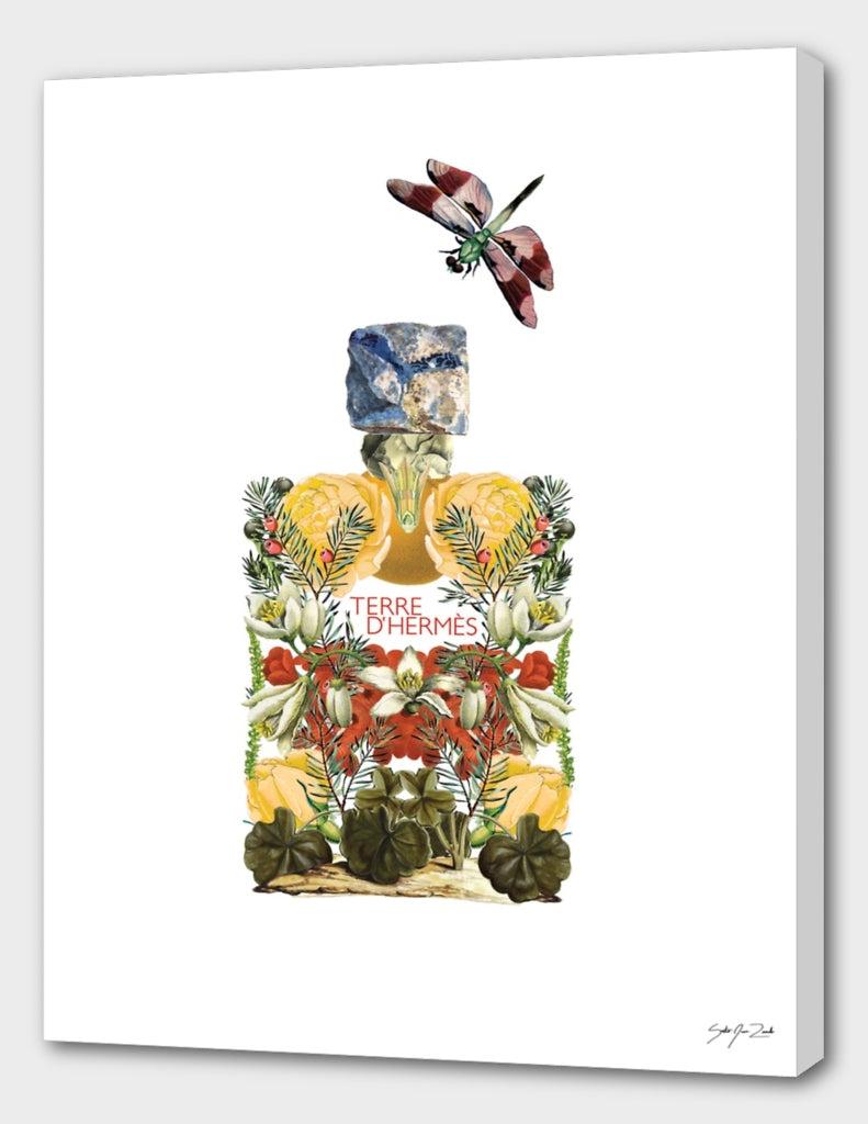 Curioos Terre D'hermès