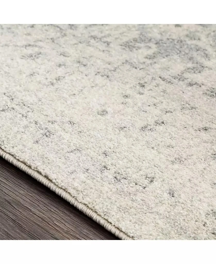 Surya Harput HAP-1024 Gray 2'7" x 7'3" Area Rug 6