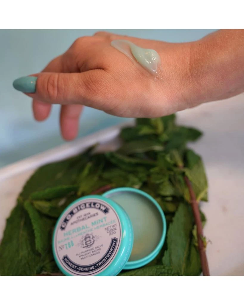 C.O. Bigelow Lip Salve Tin Trio Set 9