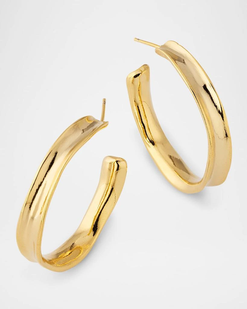 Devon Leigh Small Hoop Earrings 3