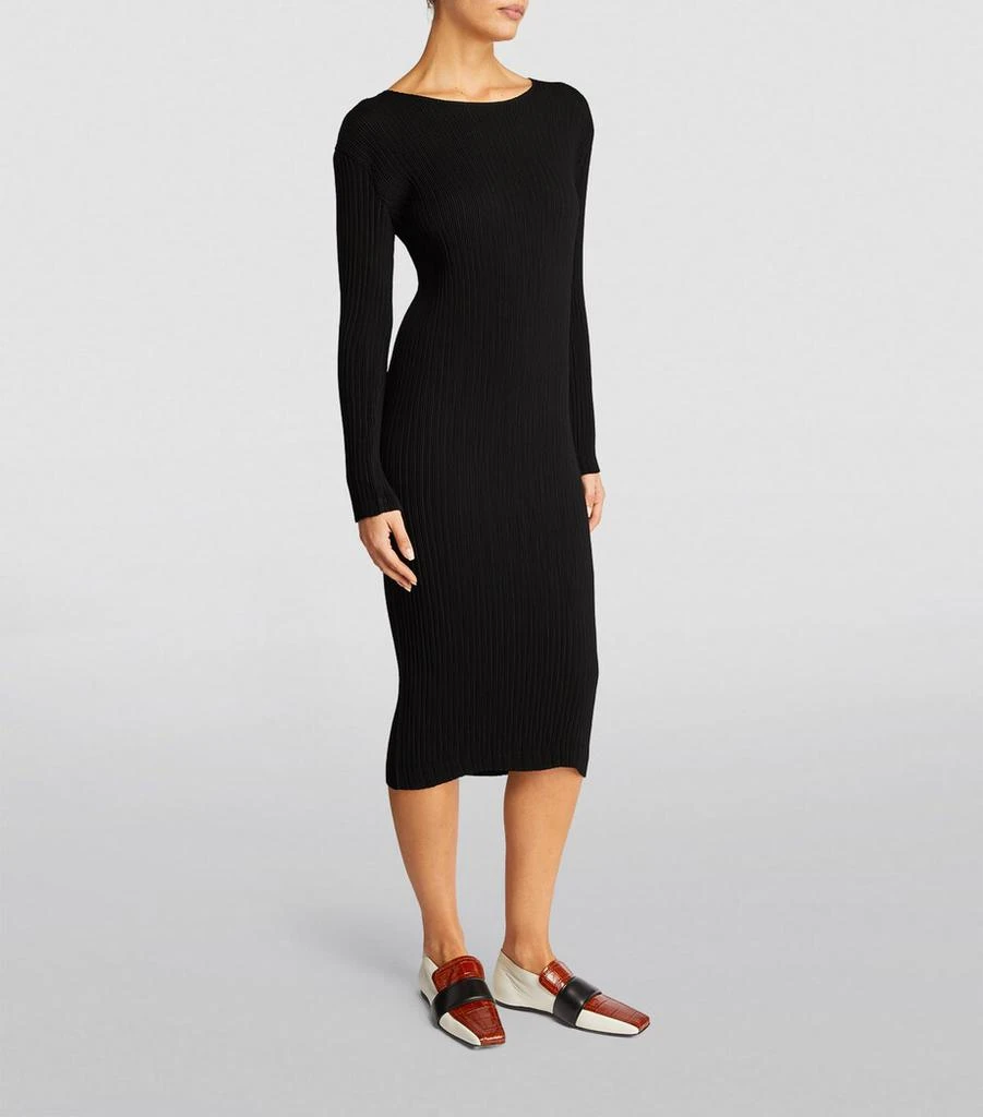 Issey Miyake Hatching Pleats Midi Dress 3