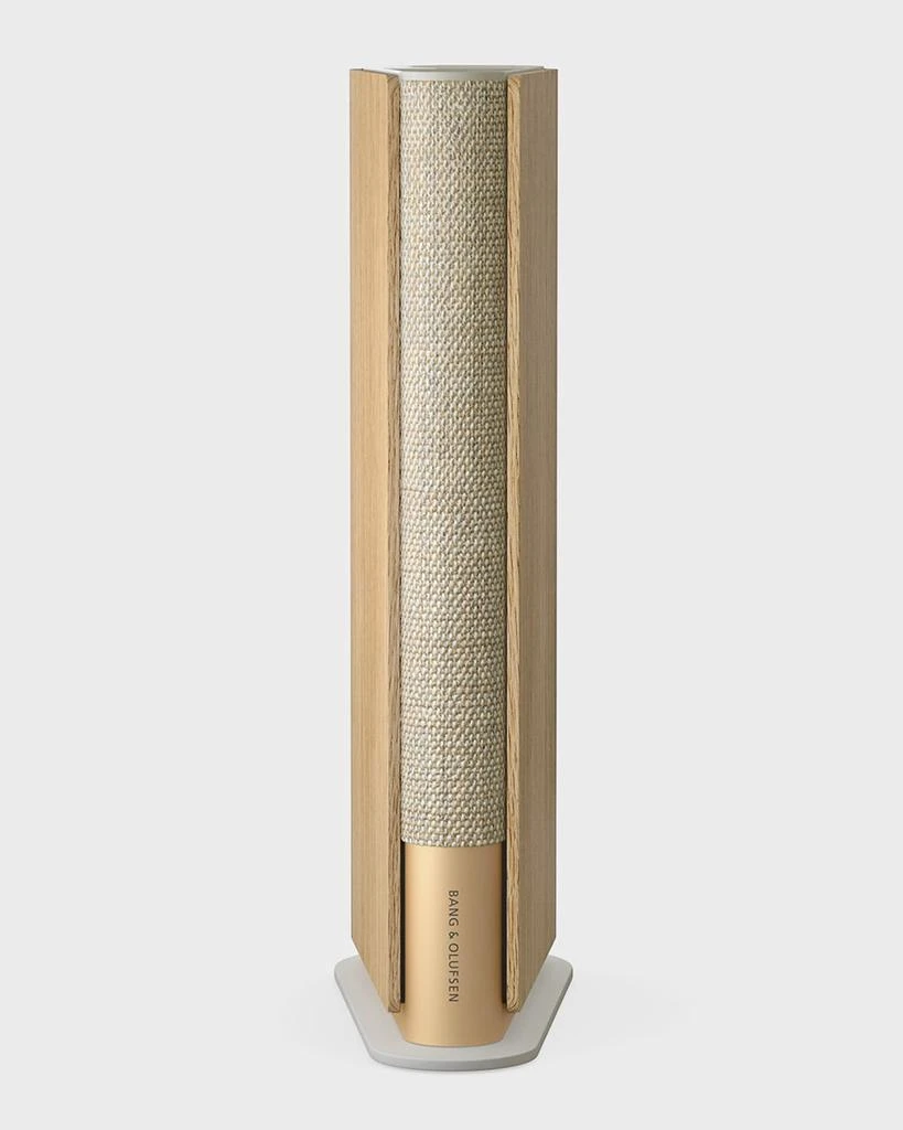 Bang & Olufsen Beosound Emerge Speaker 1