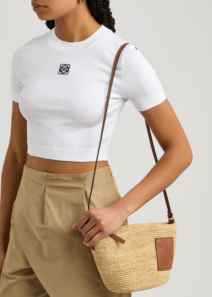 Loewe X Paula's Ibiza raffia cross-body bag 6