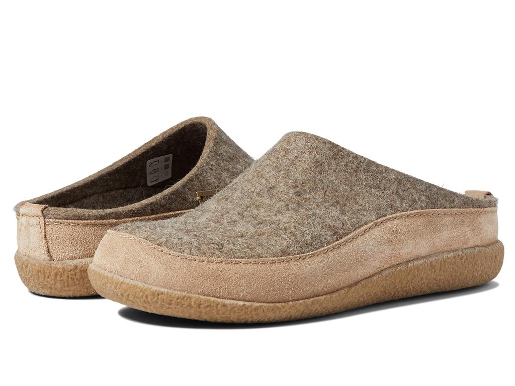 Haflinger Skane
