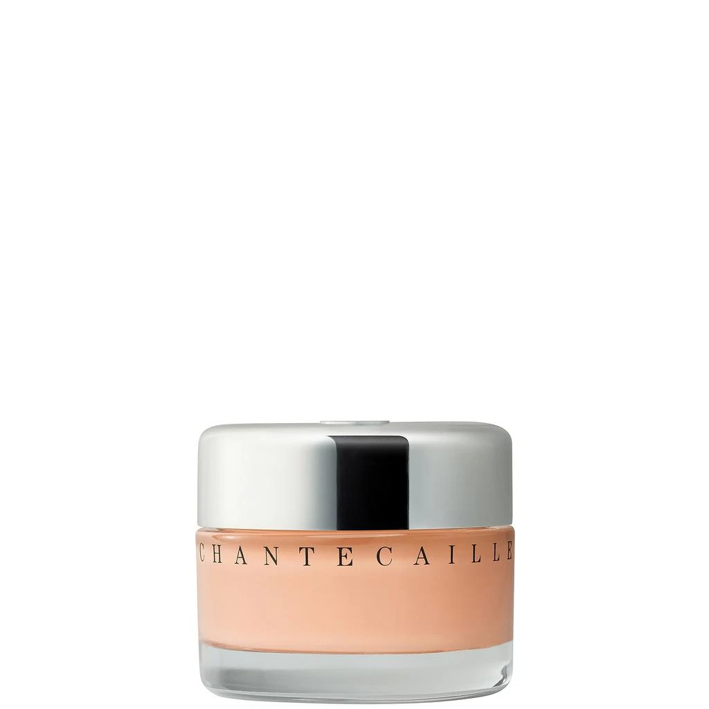 Chantecaille Chantecaille Future Skin Oil-Free Foundation 1 oz. 1